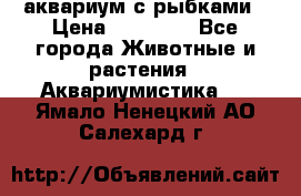 аквариум с рыбками › Цена ­ 15 000 - Все города Животные и растения » Аквариумистика   . Ямало-Ненецкий АО,Салехард г.